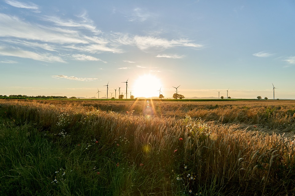 Electric Vehicle Charging: The Growing Importance of Grid-Scale Power Storage