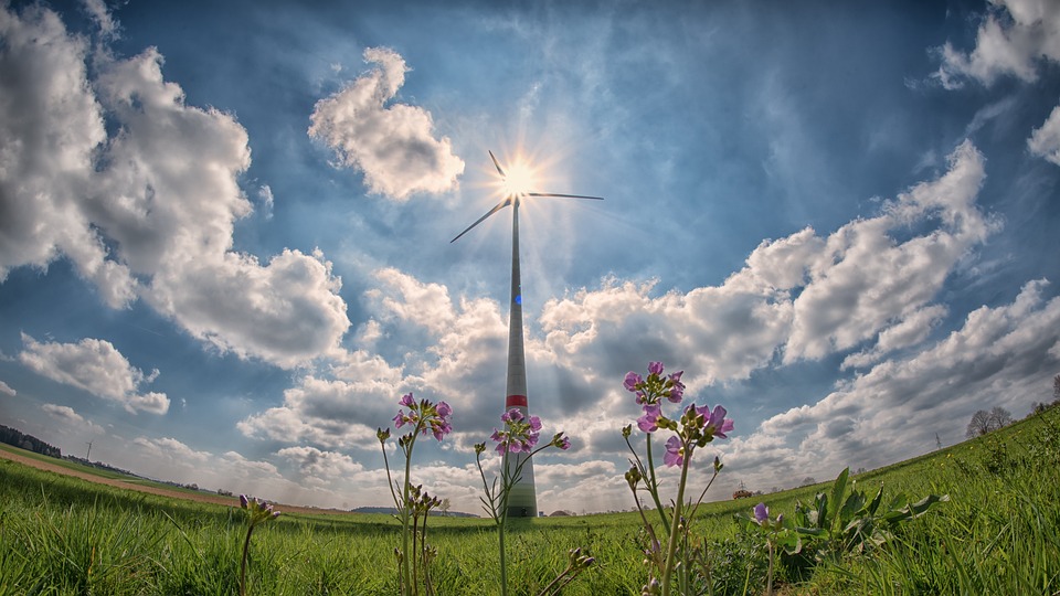 Renewable Energy Revolution: What's Next for Global Climate Action?