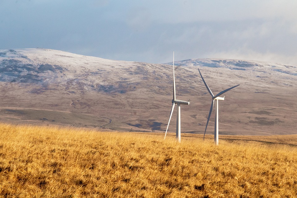 Renewable Revolution: How Governments Can Support a Sustainable Energy Future