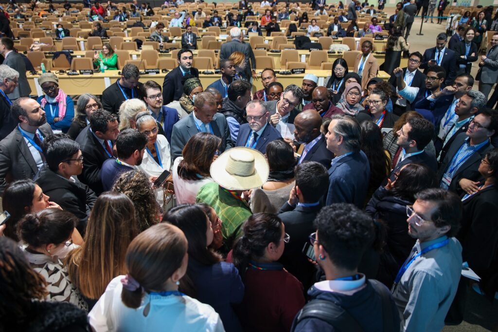 COP29 Outcomes: UN Climate Talks Summary