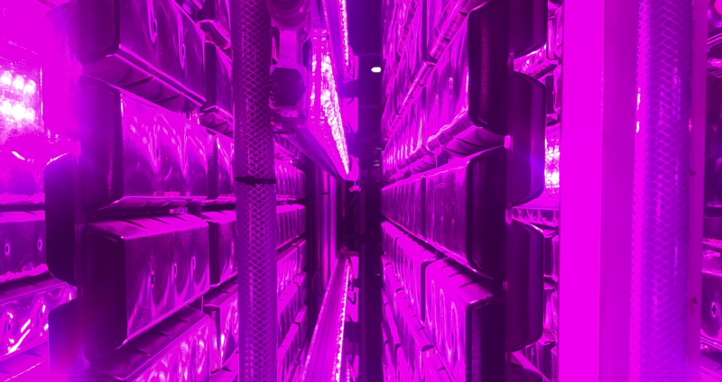 Generate single title from this title A New Wave Of Algae Is Perking Up The Vertical Farming Industry in 70 -100 characters. And it must return only title i dont want any extra information or introductory text with title e.g: " Here is a single title:"