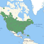 Generate single title from this title What Will Happen To All Those EV Charging Stations? in 70 -100 characters. And it must return only title i dont want any extra information or introductory text with title e.g: " Here is a single title:"